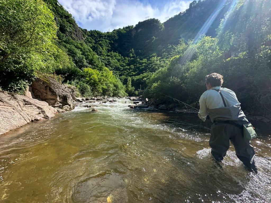 Fly fishing gallery photo 11