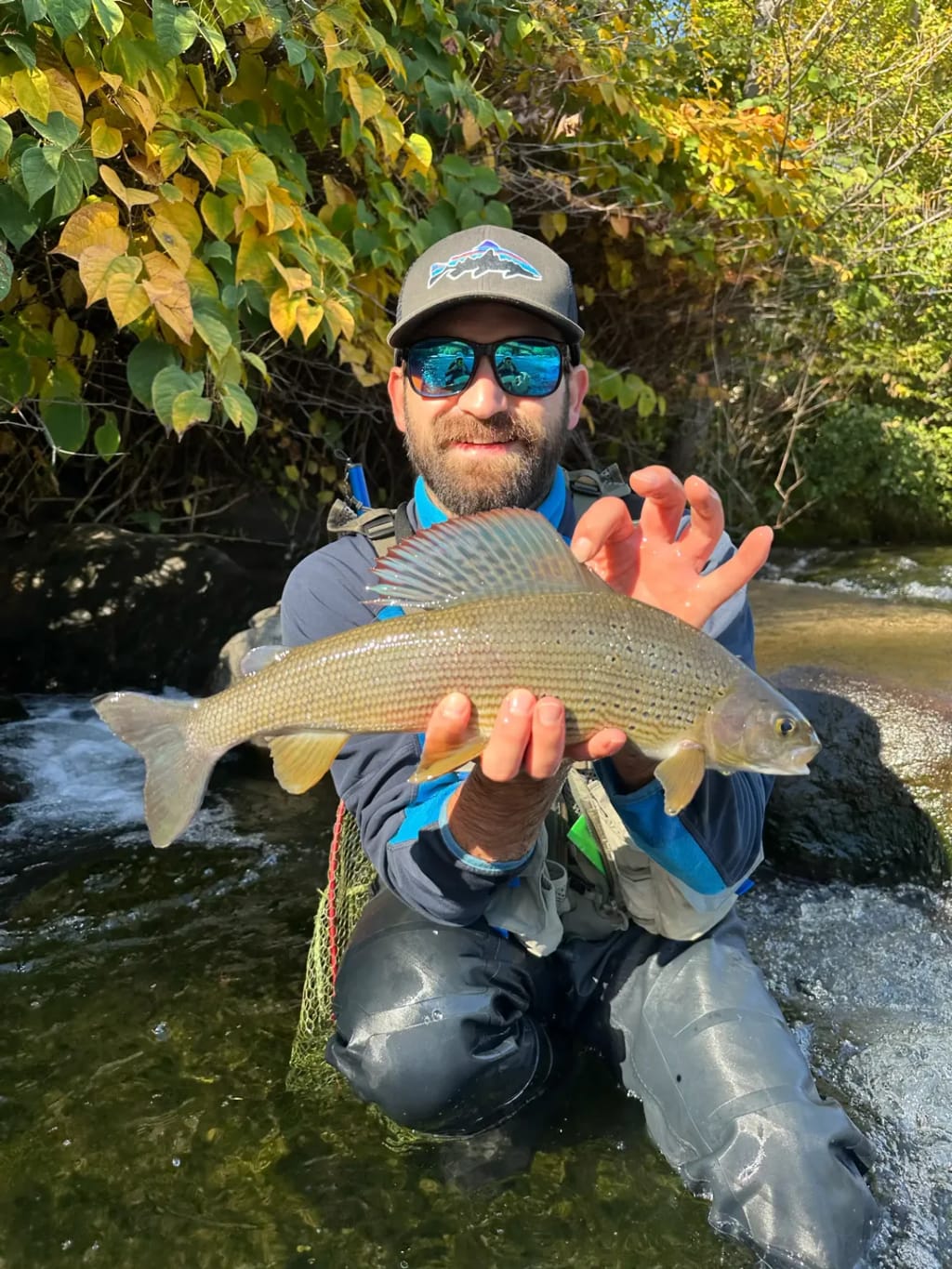 Fly fishing gallery photo 16