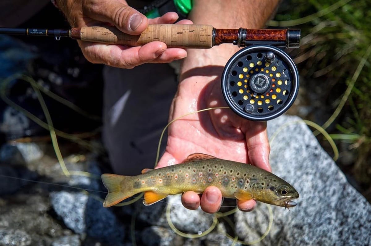 Pescatore con in mano una piccola trota selvatica accanto a canna e mulinello